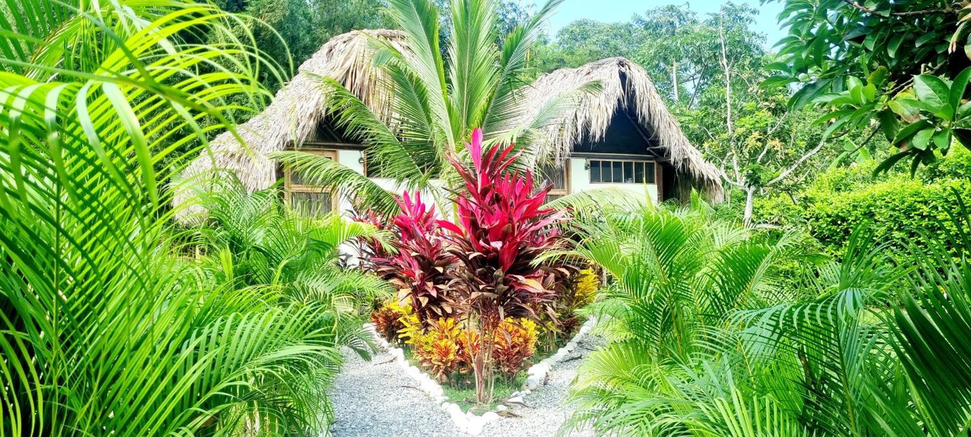 Encanto Hostel Guachaca 外观 照片